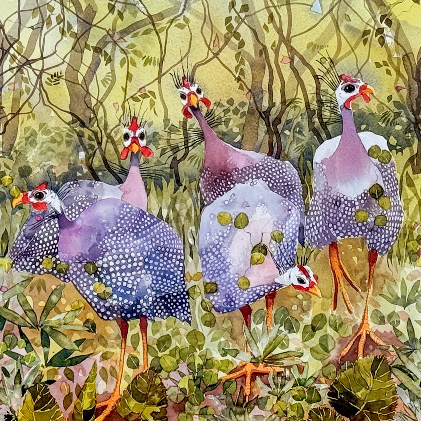 Advance Guard by Mary Ann Rogers