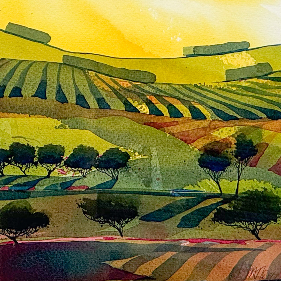 Blaze by Mary Ann Rogers