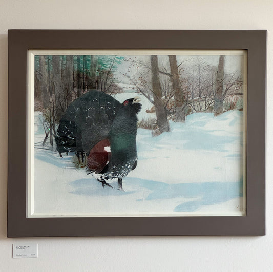 Capercaillie by Winifred Fergus