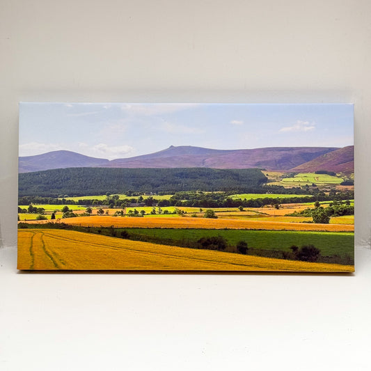 Feughside & Clachnaben by Nancy Jackson (Deeview Designs)