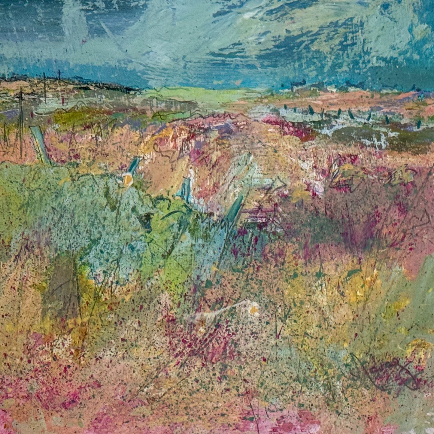 In the Pink by Morag Stevenson