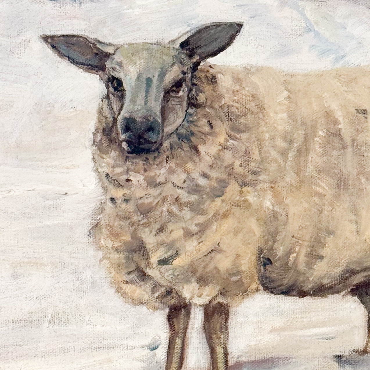 Looking For Daisy by Marion Wills