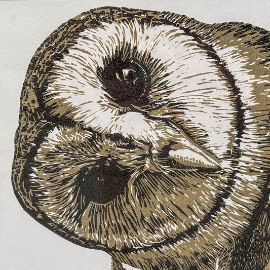 Peek A Twoo by Carine Eunson (last in the edition)