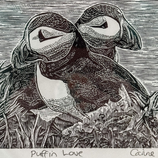 Puffin Love by Carine Eunson