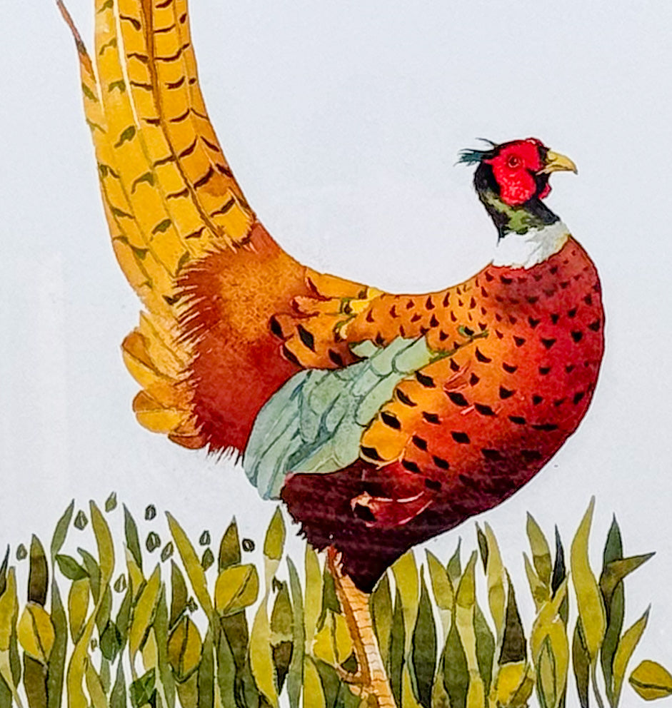 Ruffled Pheasant by Mary Ann Rogers