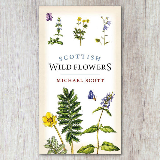 Scottish Wild Flowers by Michael Scott