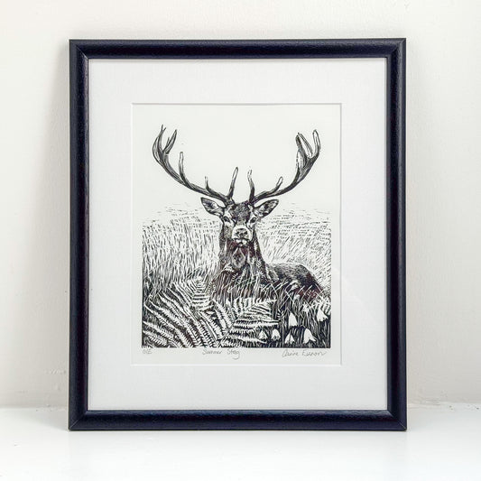 Summer Stag by Carine Eunson