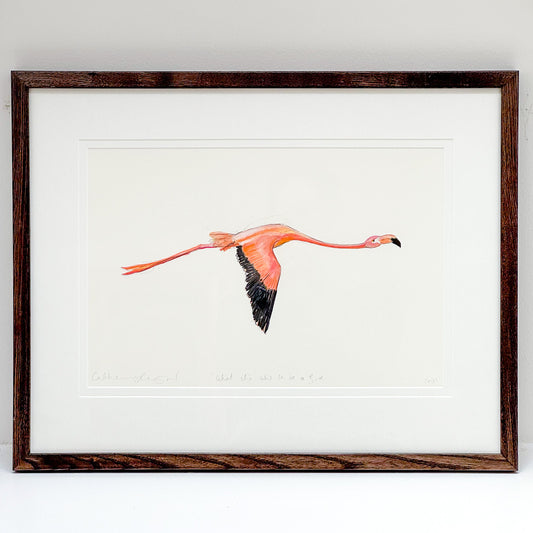 What It's Like To Be A Bird by Catherine Rayner