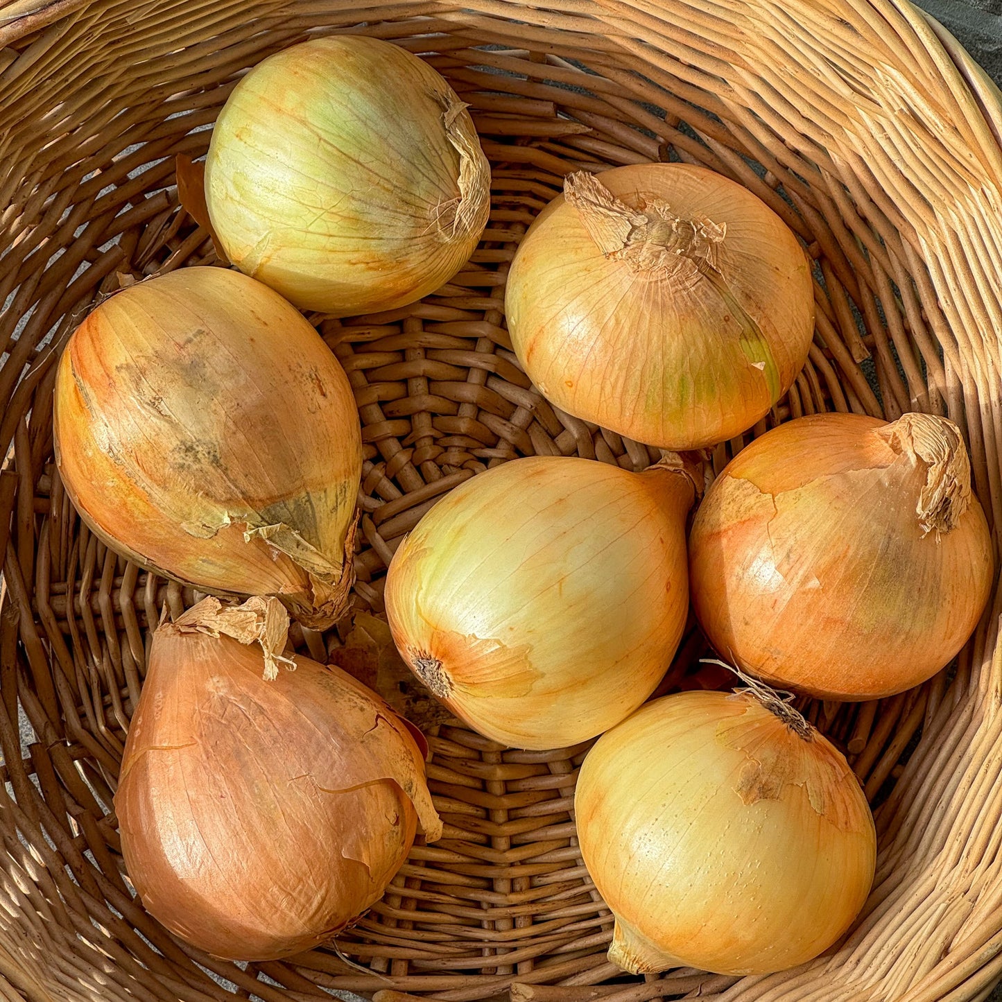 White Onions (1kg)