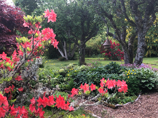 2023 Finzean House Open Garden Event