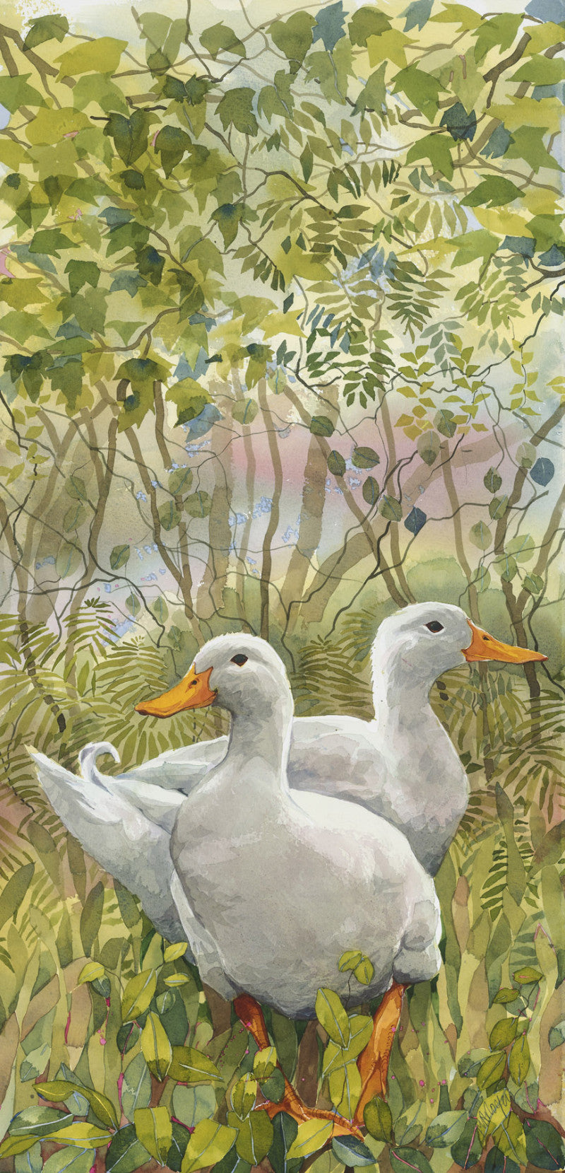 Aylesbury Ducks by Mary Ann Rogers