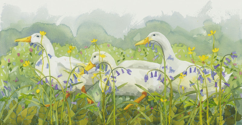 Bluebell by Mary Ann Rogers