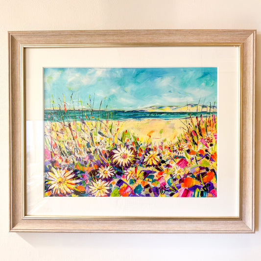 Daisies in the Dunes by Madeleine Braithwaite-Exley