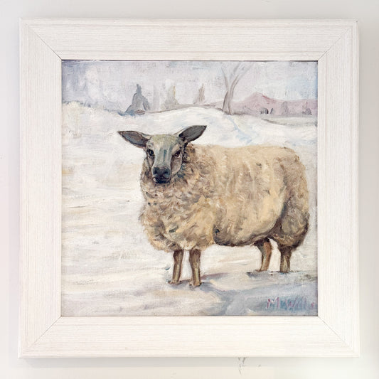 Looking For Daisy by Marion Wills