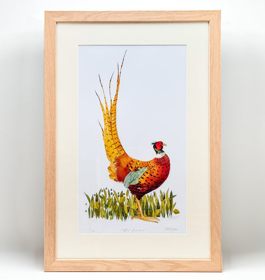 Ruffled Pheasant by Mary Ann Rogers