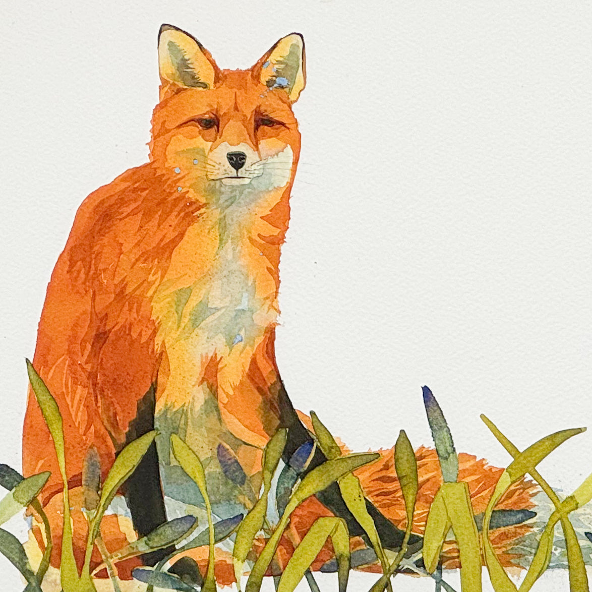 Sitting Fox by Mary Ann Rogers