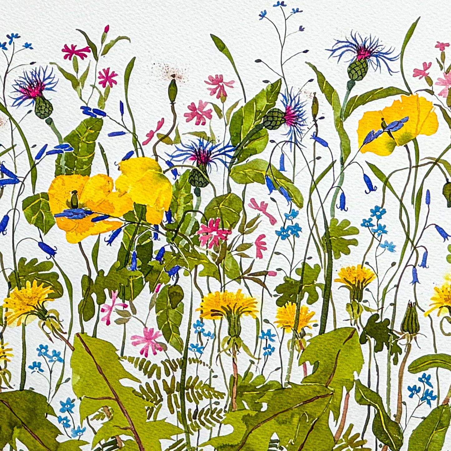 Spring Flowers by Mary Ann Rogers