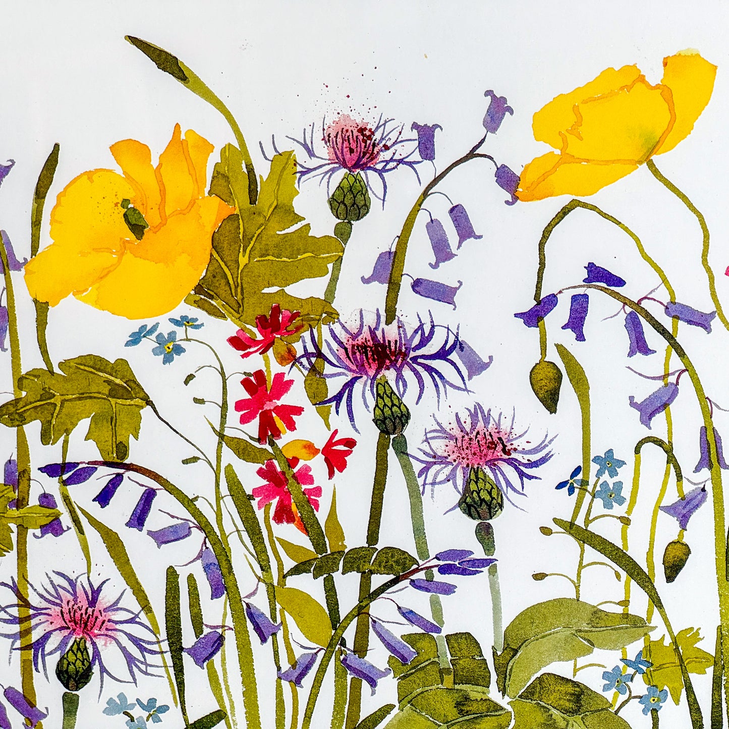 Spring Flowers by Mary Ann Rogers (horizontal)