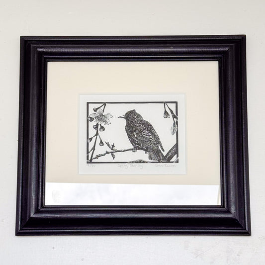 Spring Starling by Carine Eunson