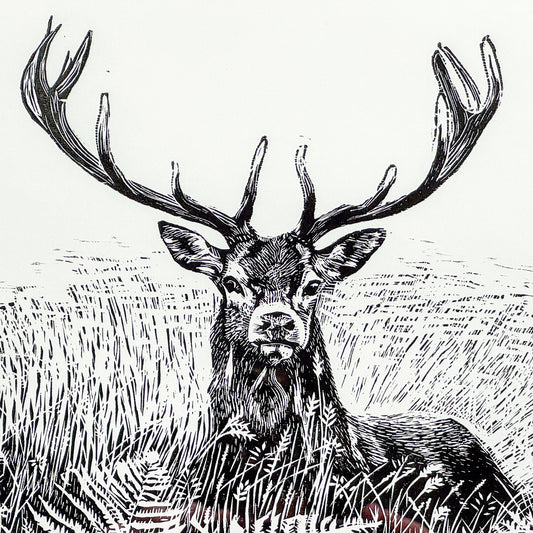 Summer Stag by Carine Eunson