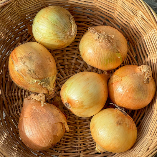 White Onions (1kg)